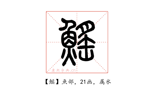 鰩