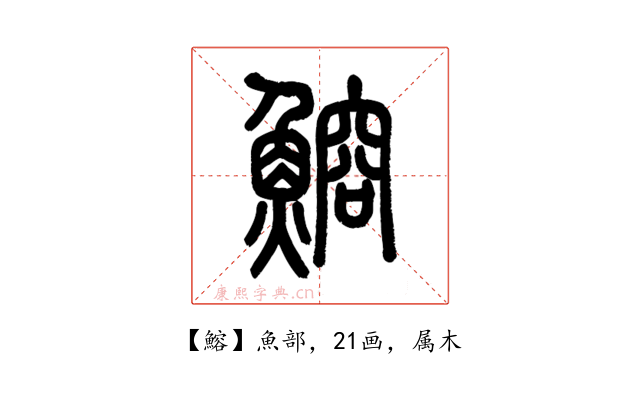 鰫