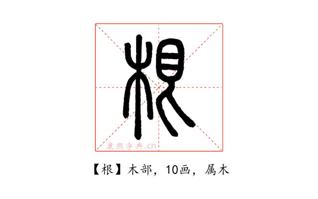 根