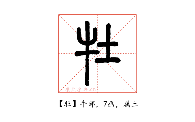 牡