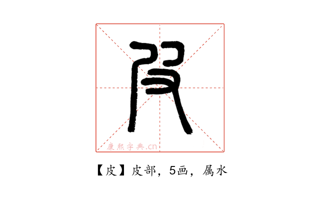 皮