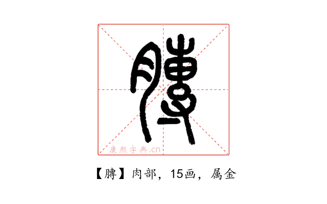 膞