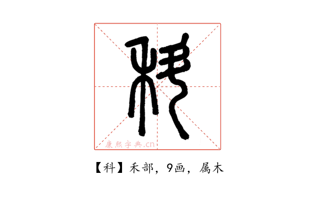 科