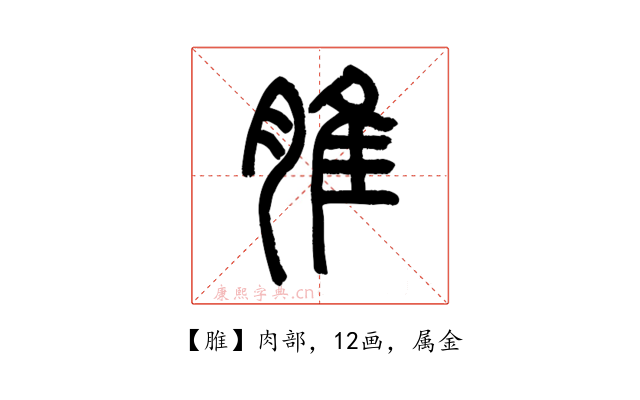 脽