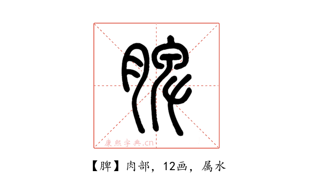 脾