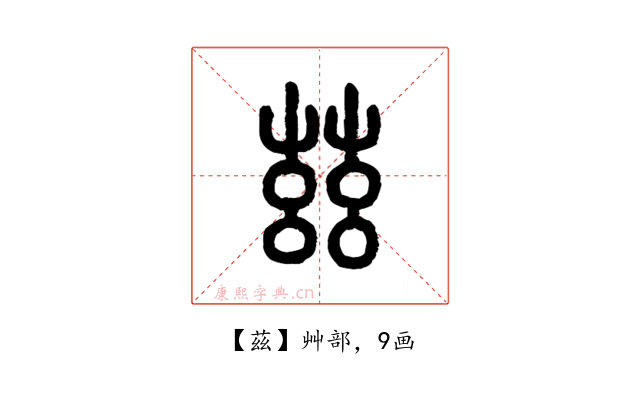 茲