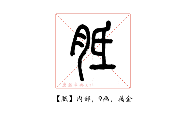 胝
