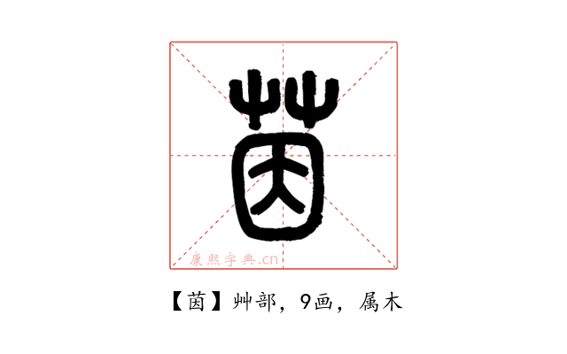 茵