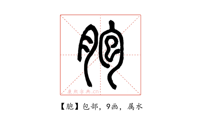 胞