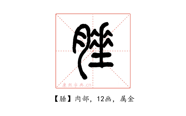 腄
