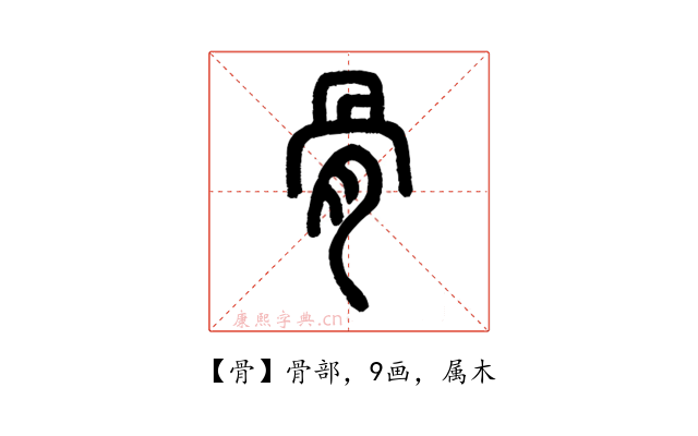 骨