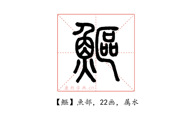 鰸