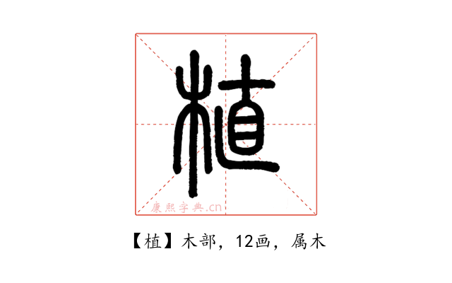 植