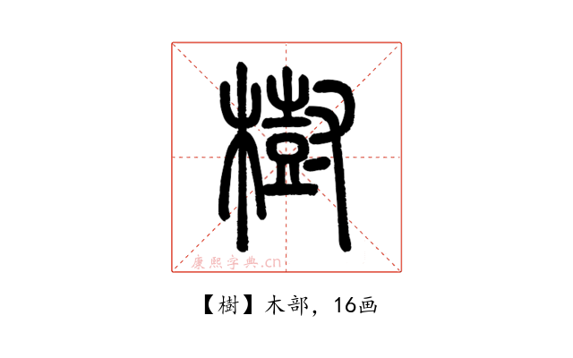 樹