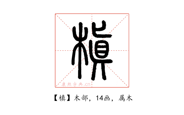 槙