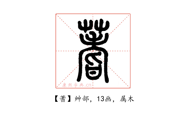 蓍