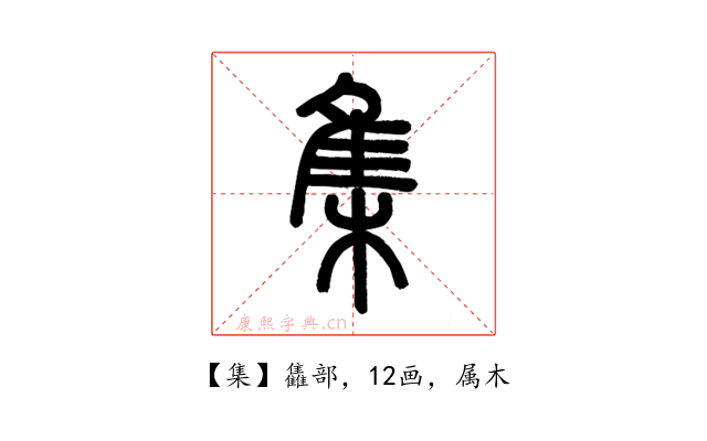 集
