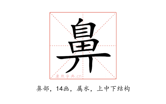 鼻