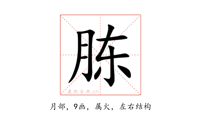 胨
