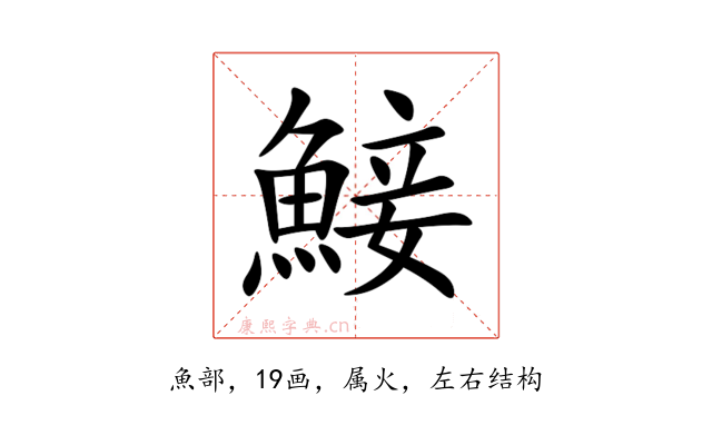鯜
