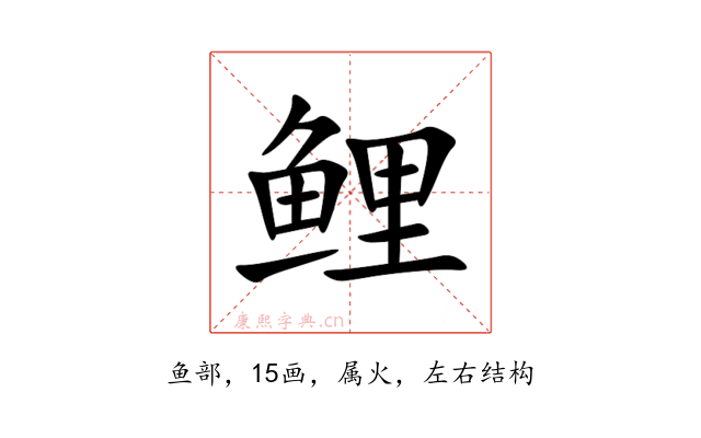 鲤