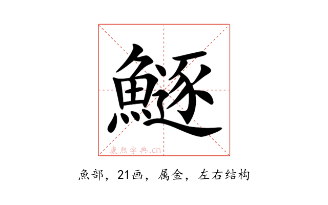 鱁