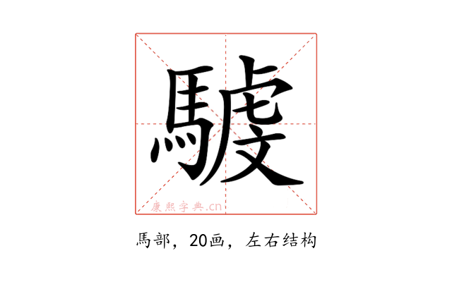 𩤾