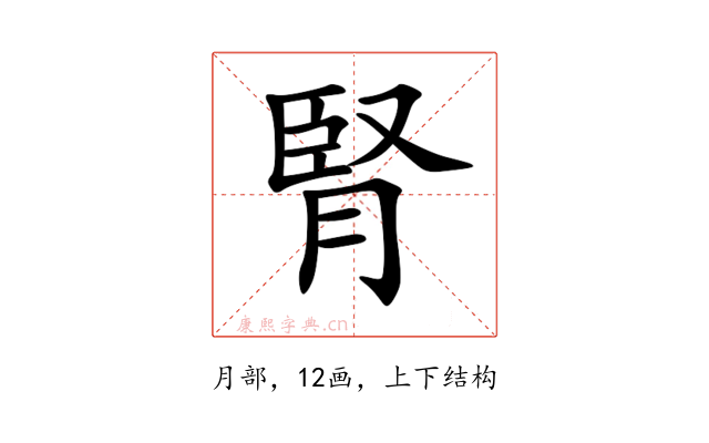 腎