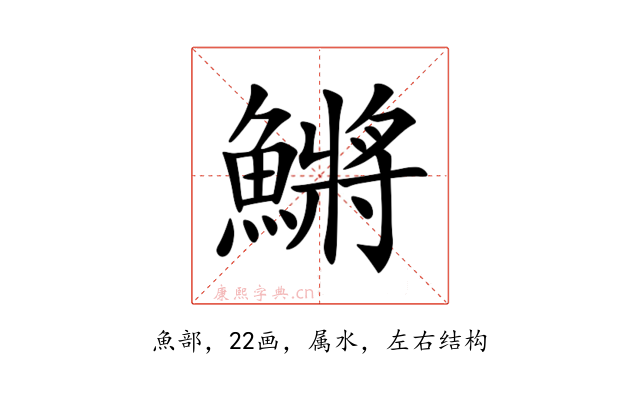 鱂