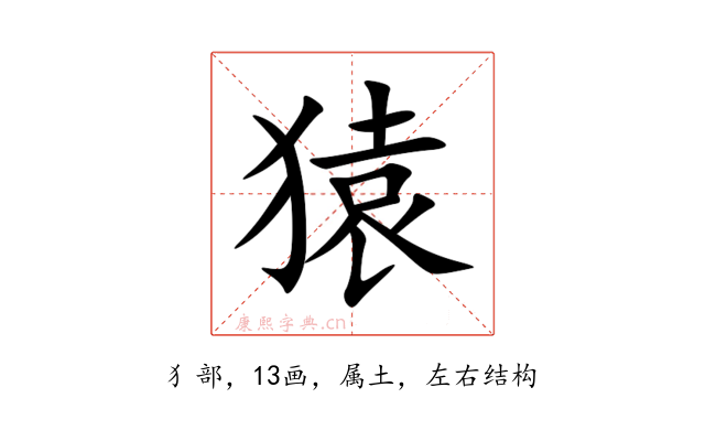 猿