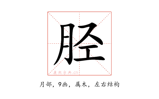 胫