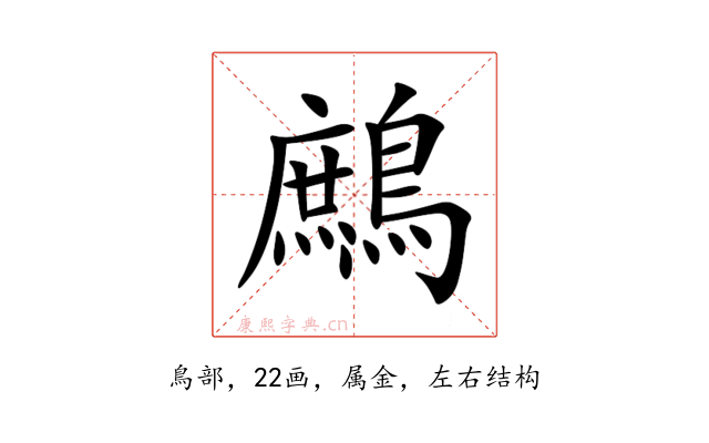 鷓