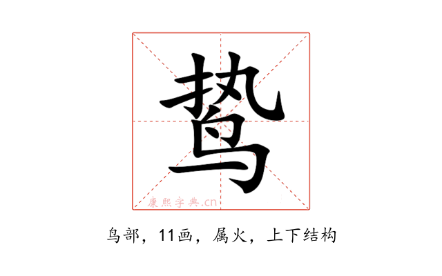 鸷