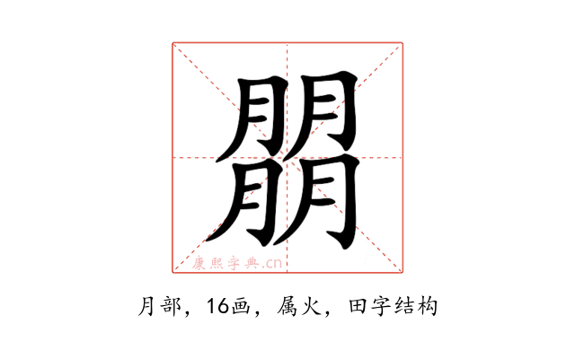 朤