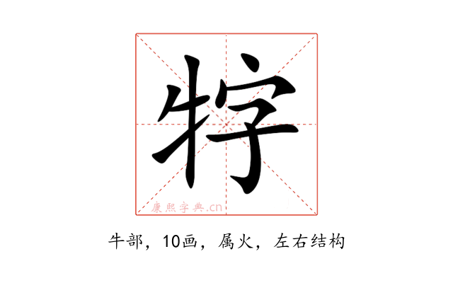 牸