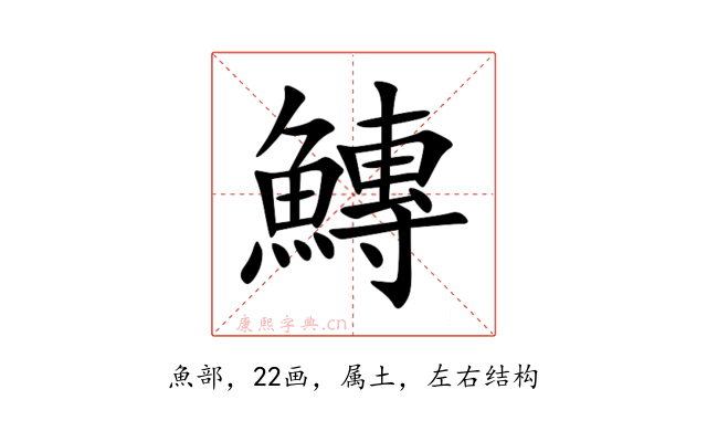 鱄