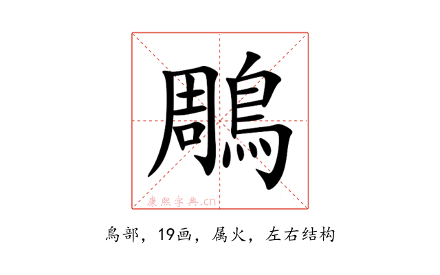 鵰