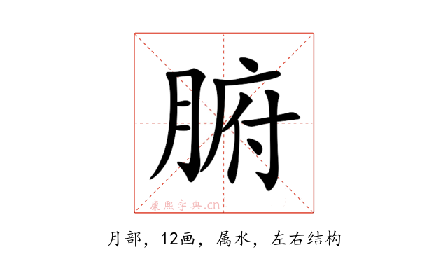 腑