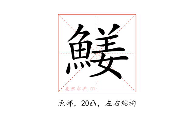 𩹖