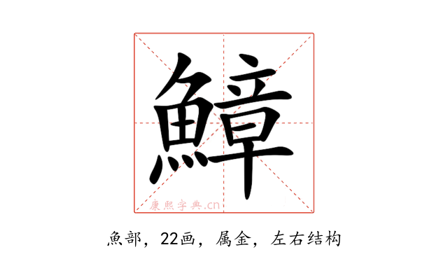 鱆