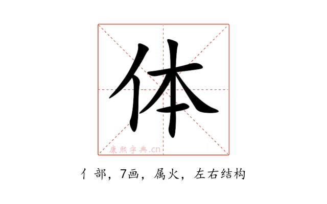 体