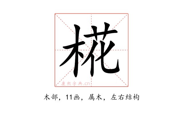 椛