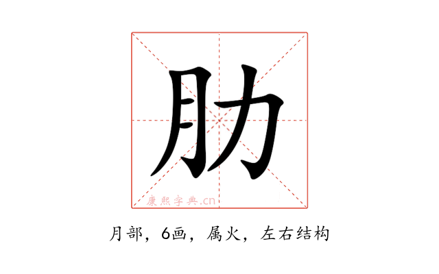肋