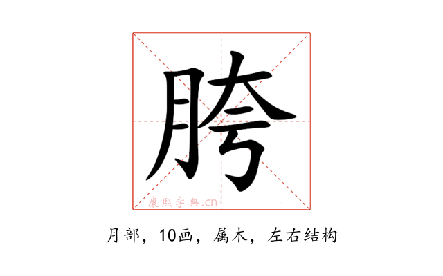胯