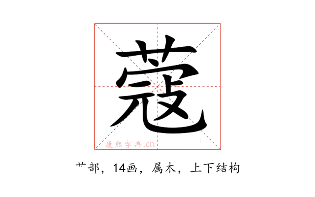 蔻