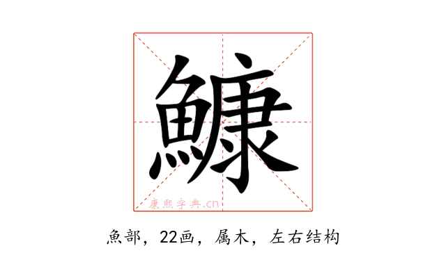 鱇