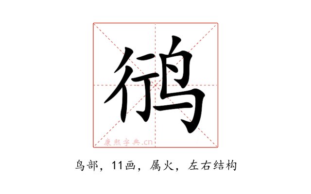 鸻