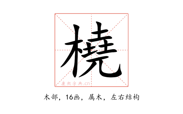 橈