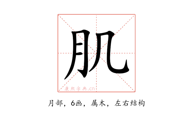 肌