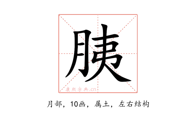 胰